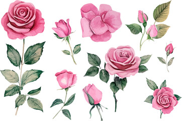 seamless pattern with pink roses