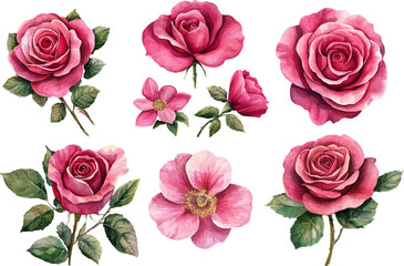 seamless pattern with roses