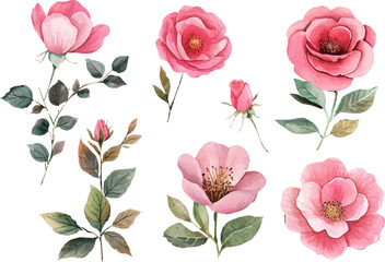 Fototapeta premium seamless pattern with pink roses