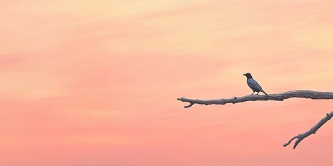 Obraz premium A lone bird perched on the end of an old branch against a pastel pink and red sky at dusk