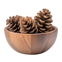 pine cone on white background