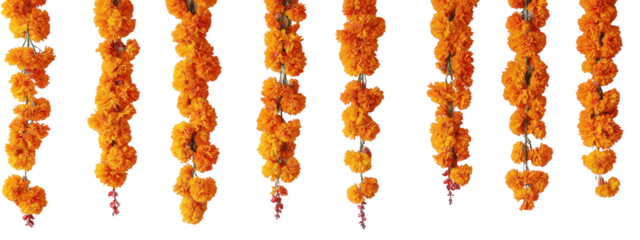 Marigold Flower Garlands: Vibrant orange marigold garlands hanging elegantly, perfect for festive decorations or adding a pop of color to your designs.