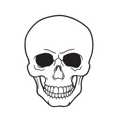 Obraz premium The skull icon. Black silhouette of a human skull. Vector illustration isolated on a white background for design and web.