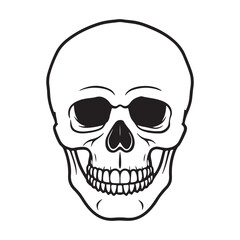 Fototapeta premium The skull icon. Black silhouette of a human skull. Vector illustration isolated on a white background for design and web.