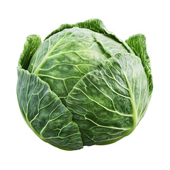 Obraz premium Green Cabbage with Veins Isolated on a Transparent Background