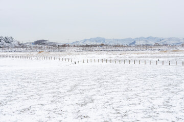 하얗게 눈이 내린 겨울 풍경