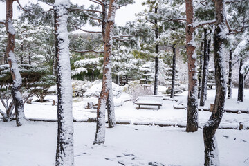하얗게 눈이 내린 겨울 풍경