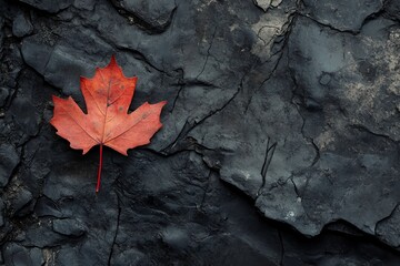 Beautiful Canada Flag Wallpaper Featuring a Red Maple Leaf on a Textured Black Surface in Striking 4k Resolution. Generative AI