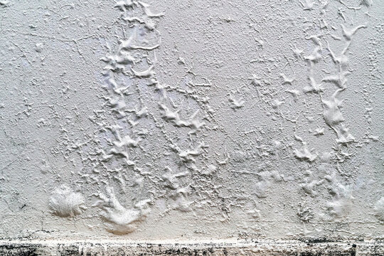 The blistered surface of cement wall. Swollen color wall from the moisture. Cracked wall, Paint white peeling off and old outside wall. Blistering occurs due to humidity, Wet wall surfaces and mold.