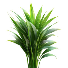 Fototapeta premium Green Plant Leaves Isolated on a Transparent Background