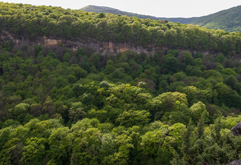 nature walks in mountainous areas, panoramic views of the area, trees and plants on the slopes of...