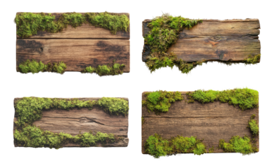 Old wood boards with green moss isolated on transparent background