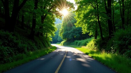 Obraz premium Sunlit Asphalt Road Winding Through Lush Green Forest Canopy