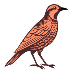 Vintage Bird Illustration