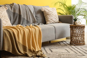 Cozy sofa with plaid, coffee table and houseplant in interior of living room