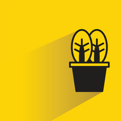 tree plant pot with shadow on yellow background