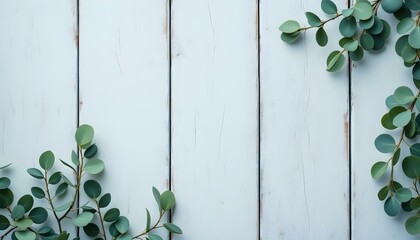 Eucalyptus branches and leaves on wooden rustic white background. Minimal background eucalyptus on white board. Rustic white wood background with eucalyptus branches and leaves