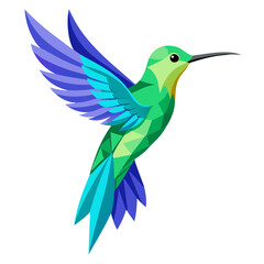 Hummingbird in Motion