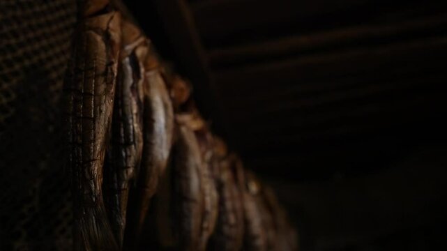 Dried Smoked Fish Hanging in Rows Preserved for Winter Food Rich in Protein and Flavor