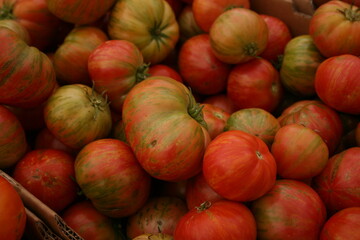 Farmers Market Tomatoes