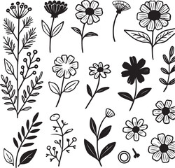 Flowers vector illustration ib black and white