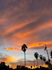 ロサンゼルスの夕暮れ
