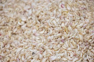 Fresh organic Garlic slices in tray.