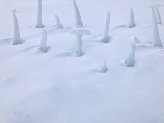 冬、雪の上に氷で作られたオブジェが並ぶ景色
