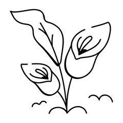 A drawing icon of arum lilies

