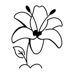 Tiger lily flower icon in doodle style 
