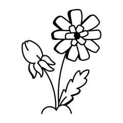 Dandelion flower icon in drawing style 


