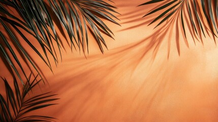 Palm leaves cast shadows on orange background.