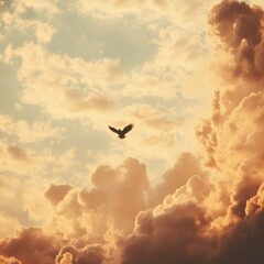 Fototapeta premium Eagle Soars Through Golden Clouds at Sunset Nature Serene Environment Majestic Viewpoint Freedom Concept