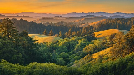 Obraz premium Tranquil golden hour over rolling hills and lush forests in a serene nature landscape during sunset.