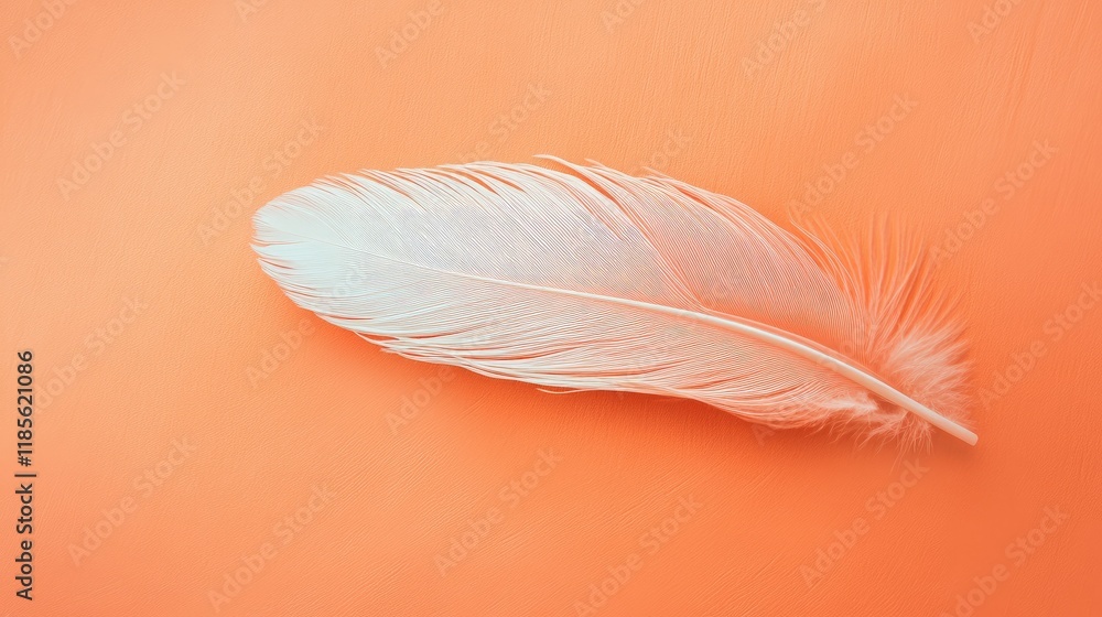 Poster minimalist aerial view of a delicate soft orange feather on a smooth background