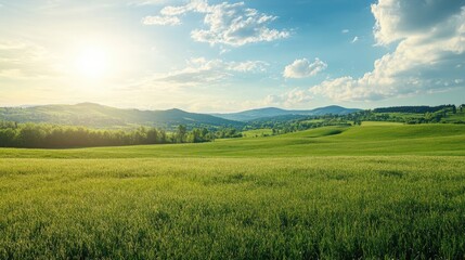 Obraz premium Serene Landscape of Green Rolling Hills Under Bright Blue Sky with Fluffy Clouds and Gentle Sunlight
