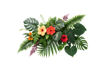 Bright hibiscus flowers in shades of yellow and red surrounded by lush green ferns and monstera leaves, embodying exotic charm, isolated on a transparent background