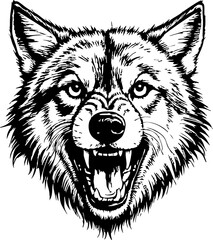 wolf portrait sketch engraving black and white outline. Scratch board imitation.

