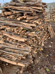 Preparation Of Firewood For Winter In Forest 