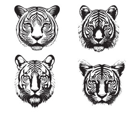 Wild Tiger Silhouette Graphic Vector