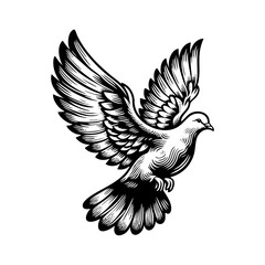 dove flying while spread wings engraving black and white outline. Scratch board imitation.
