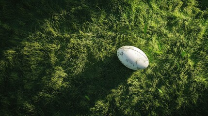 Close-up view of a rugby ball resting on lush green grass in a sunny outdoor setting showcasing sports and recreation themes.