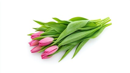 Bunch of vibrant pink tulips with lush green leaves, perfect for spring-themed designs and floral arrangements.