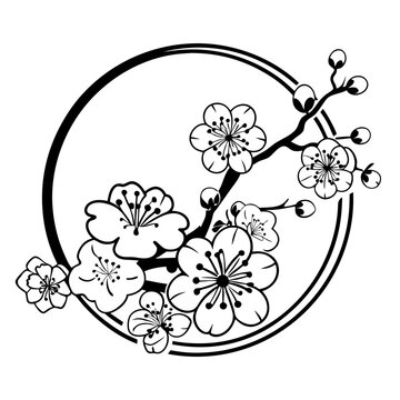 black and white cherry blossom branch in circle clip art preview