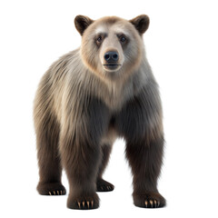 Obraz premium Arctodus AI Generated Image