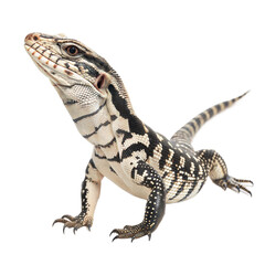 Fototapeta premium Argentine Black and White Tegu AI Generated Image