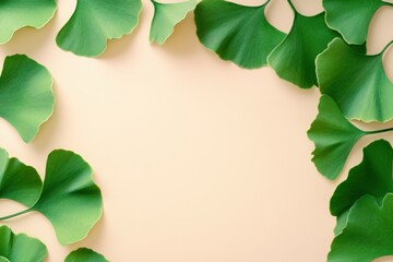 Fototapeta premium Ginkgo biloba leaves frame a beige background. Perfect for nature, health, or wellness designs.