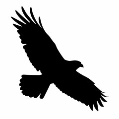 A black eagle is flying in the sky. The bird is in the air and has its wings spread out