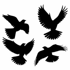 Obraz premium Four birds flying in the sky. They are all black. The birds are in different positions. One is in the middle, and the other three are on the right side