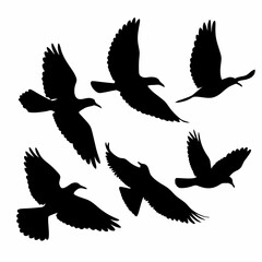 Fototapeta premium Four birds flying in the sky. They are all black. The birds are in different positions. One is in the middle, and the other three are on the right side